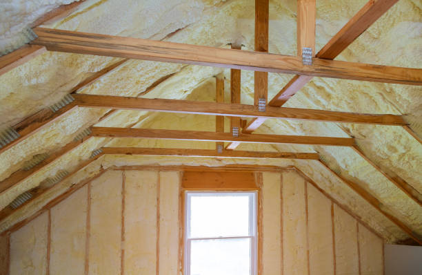 Best Insulation Repair Services  in Cape Girardeau, MO