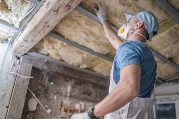 Best Professional Insulation Contractor  in Cape Girardeau, MO