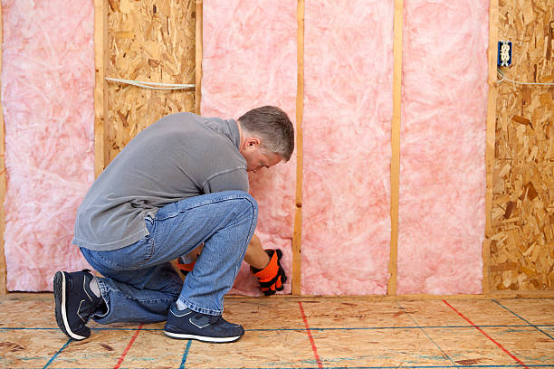 Best Insulation for New Construction  in Cape Girardeau, MO