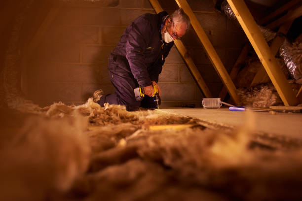 Best Insulation Contractors for Homes  in Cape Girardeau, MO